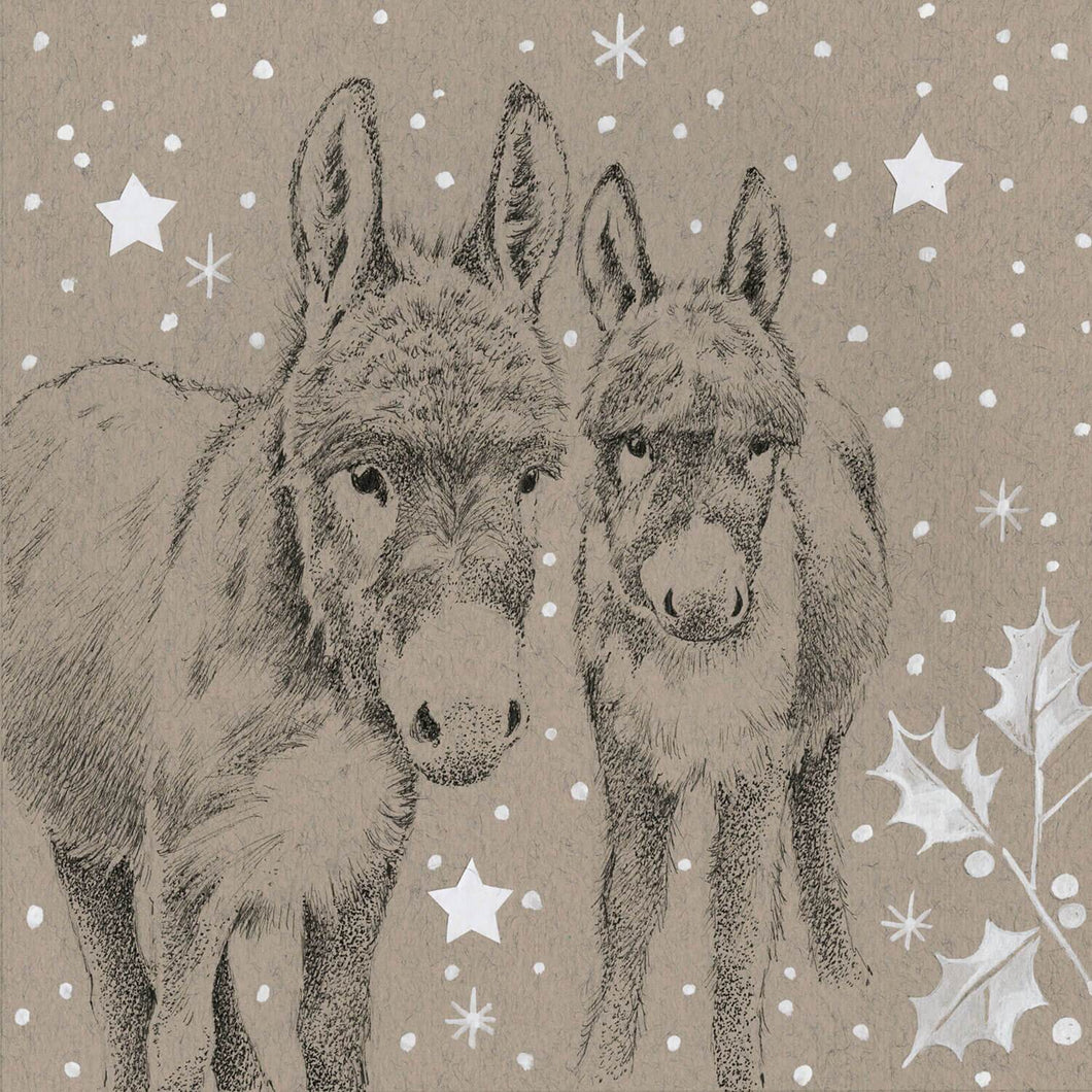 Donkeys Winter Wonderland