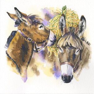 2 Donkeys and a Hay Net