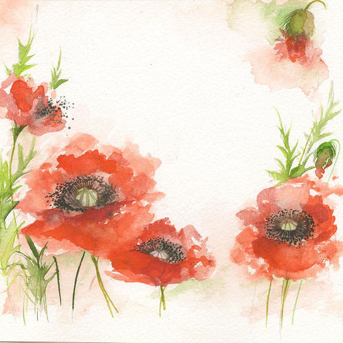 Poppies On The Border